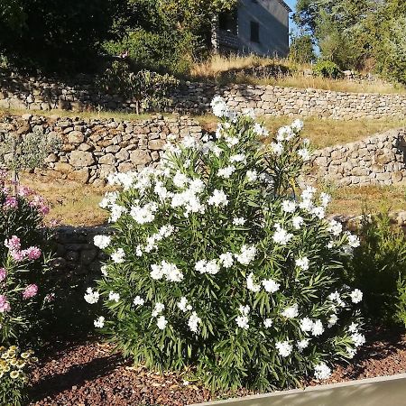 Villa La Grangette Joyeuse Exterior foto